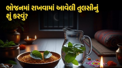 ભોજનમાં રાખવામાં આવેલી તુલસીનું શું કરવું? ભોજનમાં રાખવામાં આવેલી તુલસીનું શું કરવું?