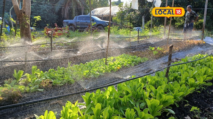 March is the best month for a kitchen garden