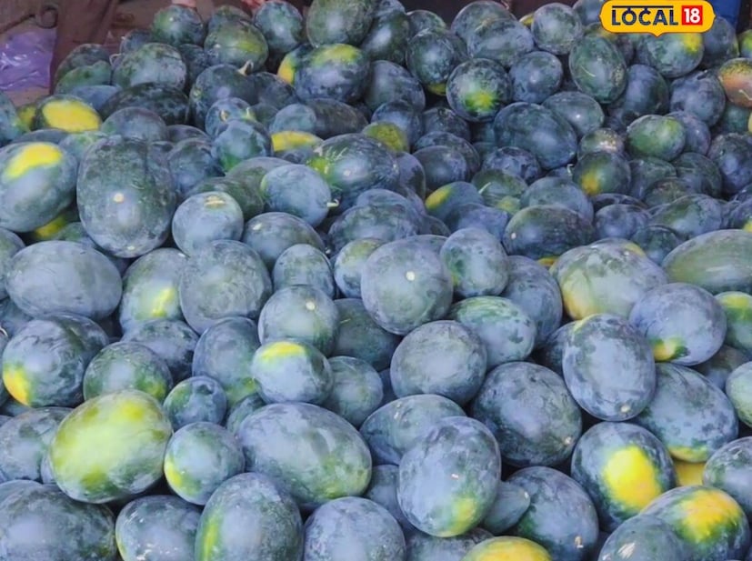 This farmer earns lakhs of rupees a year by renting a farm, he only does farming for 4 months in summer