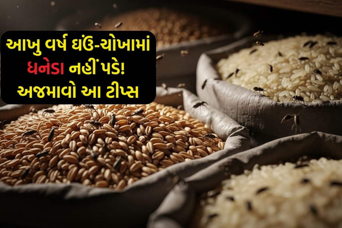 Tricks: ઘઉં- ચોખામાં ધનેડા પડી ગયા છે? તો અજમાવો આ ટીપ્સ, આખું વર્ષ અનાજ ખરાબ નહીં થાય!