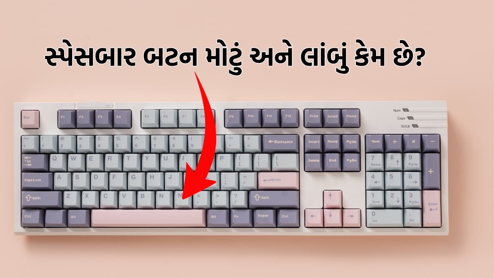 કૉમ્પ્યુટરના કીબોર્ડ પર Spacebar કી સૌથી મોટી અને લાંબી કેમ છે? 99 ટકા લોકો નથી જાણતા જવાબ, જાણો સાચું કારણ