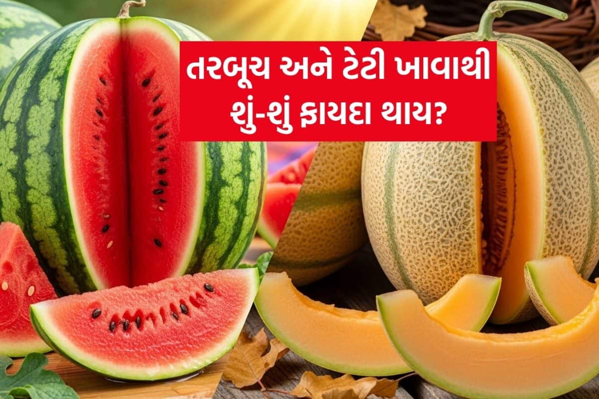 Watermelon vs Muskmelon: વજન ઘટાડવા માટે તરબૂચ ખાવું જોઈએ કે ટેટી? જાણો કયું ફળ ખાવાથી ઝડપથી ઓગાળશે પેટની ચરબી
