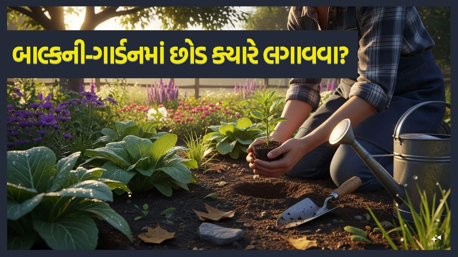 Best Day For Plantation: બાલ્કની-ગાર્ડનમાં છોડ લગાવવા માટે સૌથી સારો દિવસ કયો છે? શાસ્ત્રોમાં છે સાચો જવાબ