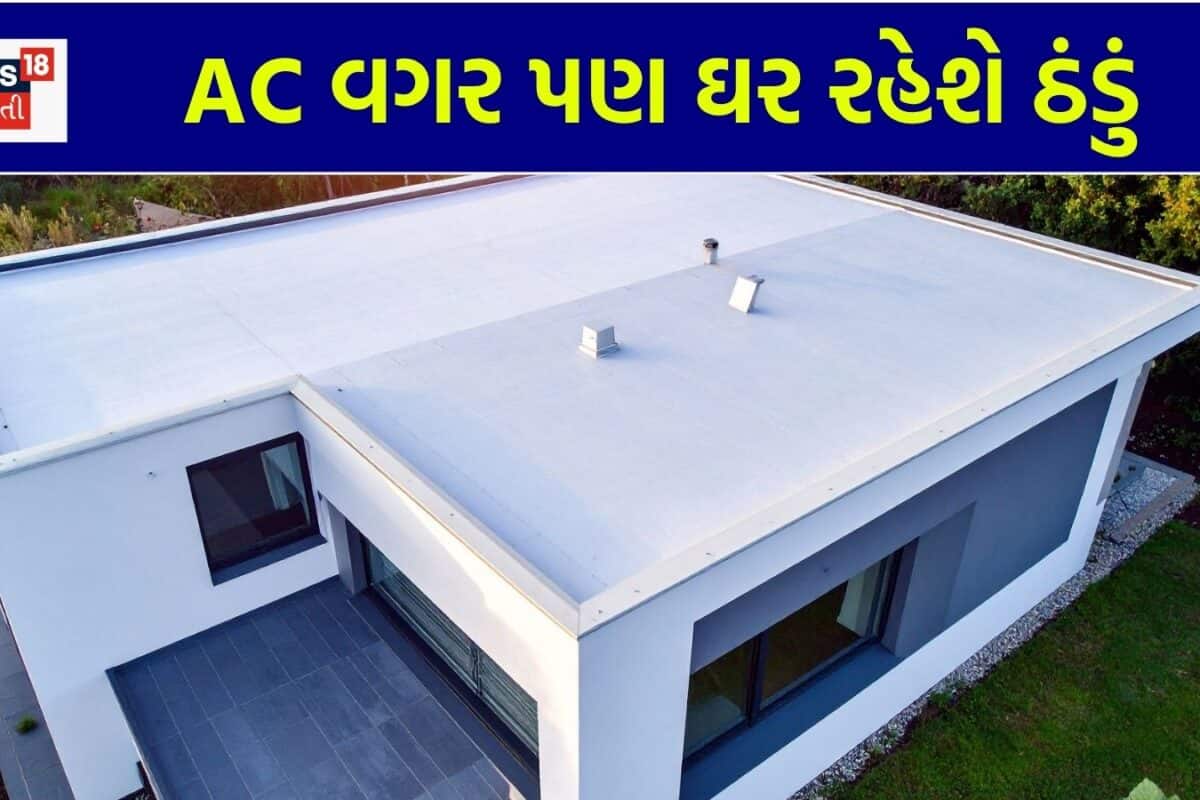 Roof Cooling Tips: છત તપી જતા ઘર ભઠ્ઠી બની જાય છે? AC વગર પણ ઘર રહેશે ઠંડું, ખાલી આ 4 સ્માર્ટ ઉપાય જાણી લો