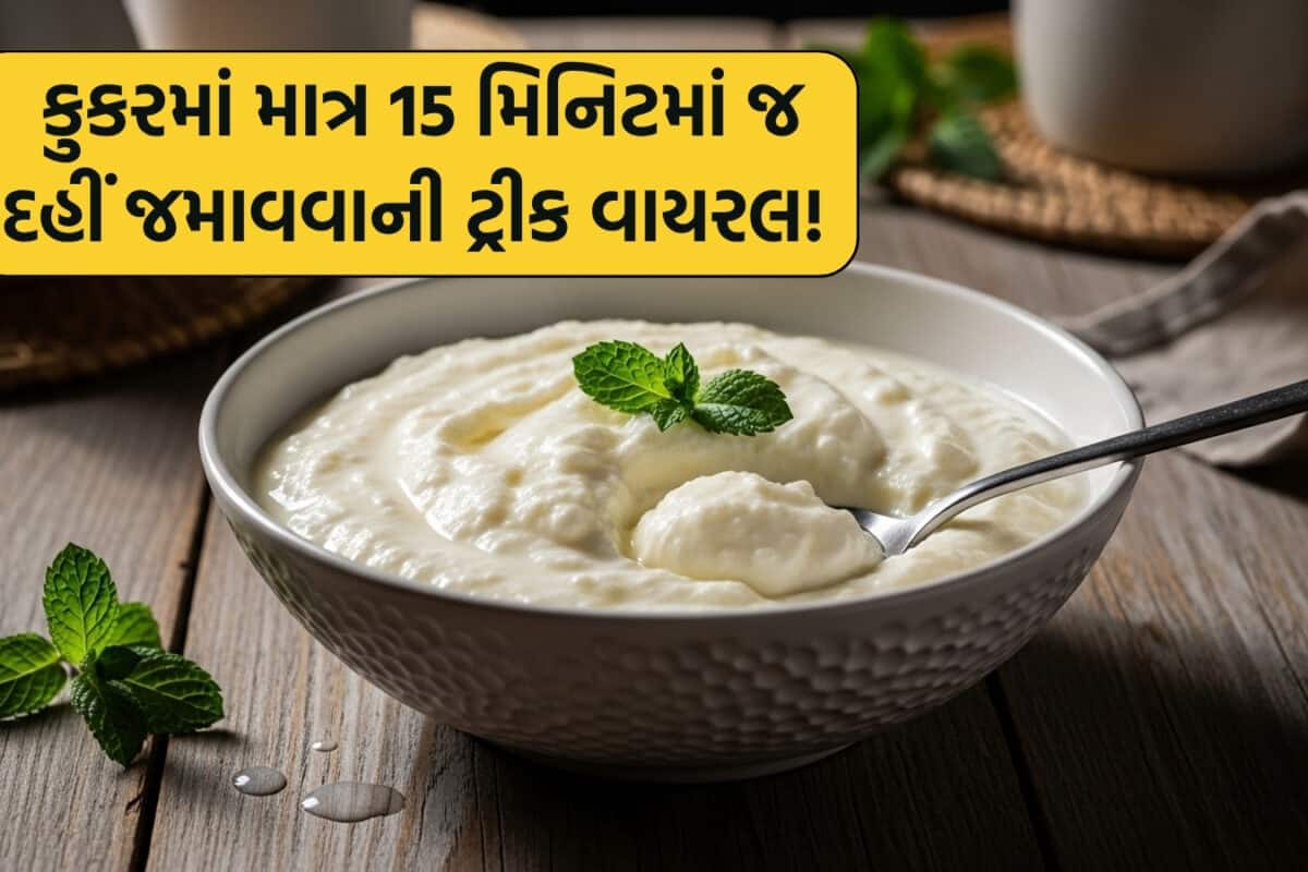 Dahi Tips: ઉનાળામાં માત્ર 10થી 15 મિનિટમાં જામી જશે દહીં, પ્રેશર કુકરની આ અનોખી ટ્રીકથી દહીં બનશે મલાઈવાળું!