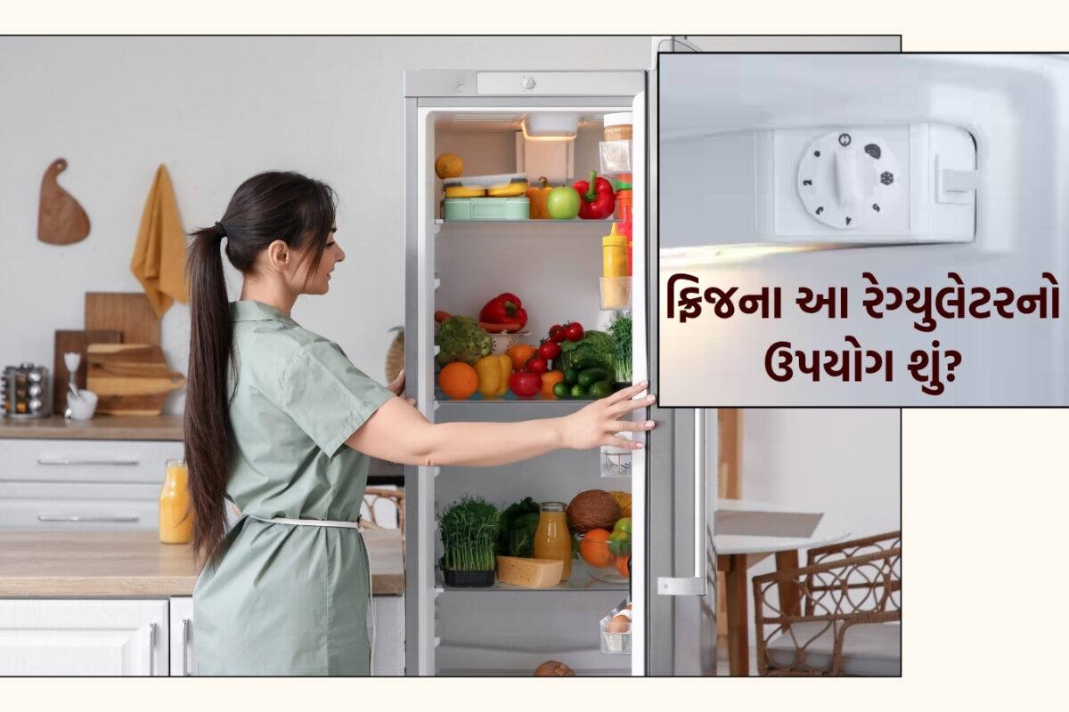 Fridge: ફ્રિજના રેગ્યુલેટર પર લખેલા 1થી 5 નંબરનો અર્થ શું છે? 99% લોકો કરે છે આ મોટી ભૂલ!