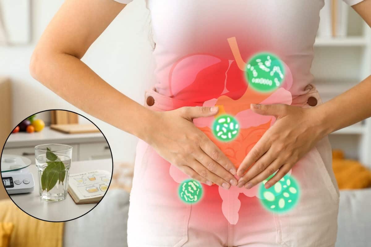 Health Tips: પેટની ચરબી, બ્લોટિંગ અને PCODથી મળશે કાયમી છુટકારો, રસોડામાં રહેલું આ પાન શરીરને આપશે મોટા ફાયદા!