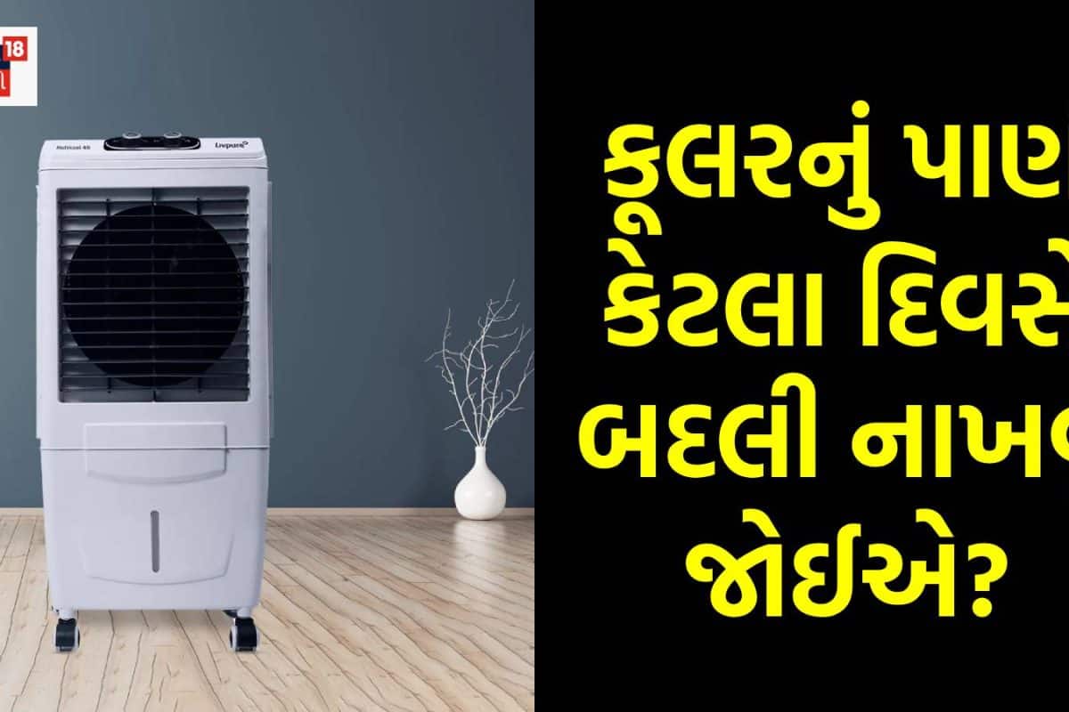 Cooler Water Tips: કૂલરનું પાણી કેટલા દિવસે બદલી નાખવું જોઈએ? 90% લોકો નહીં જાણતા હોય સાચો જવાબ