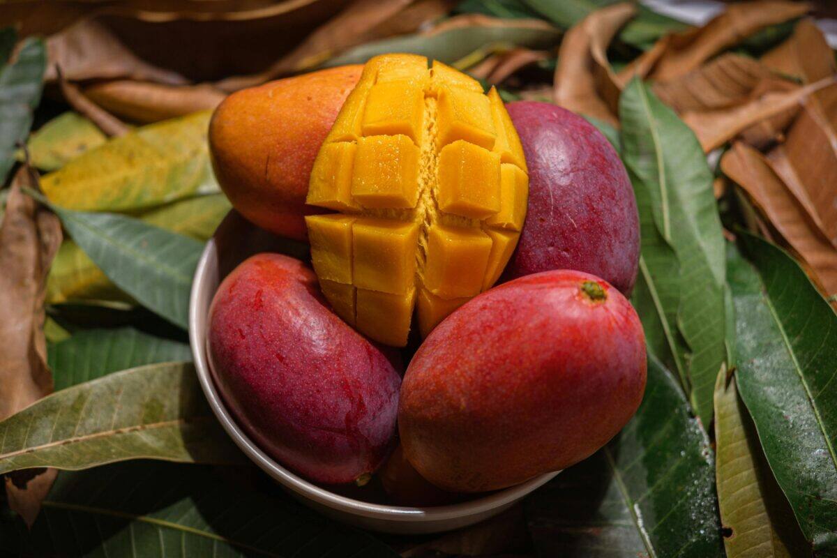Mango: તમારા ઘરના બગીચામાં આ રીતે ઉગાડો દુનિયાની સૌથી મોંઘી કેરી, એક સમયે કરોડોમાં કરશો કમાણી!