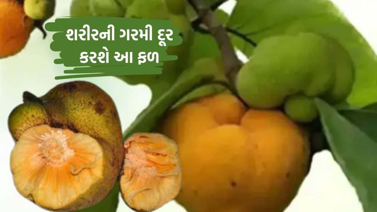 ઉનાળાની ગરમીમાં શરીરને અદભૂત ફાયદા આપશે આ ફળ, જાણો અહીં...-Summer ...