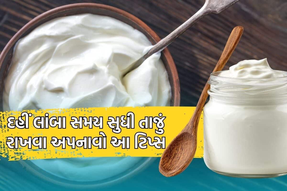 Curd Storage Tips: ઘરે જમાવેલું દહીં લાંબા સમય સુધી રહેશે એકદમ ફ્રેશ, અજમાવો સ્ટોર કરવાની આ ટિપ્સ