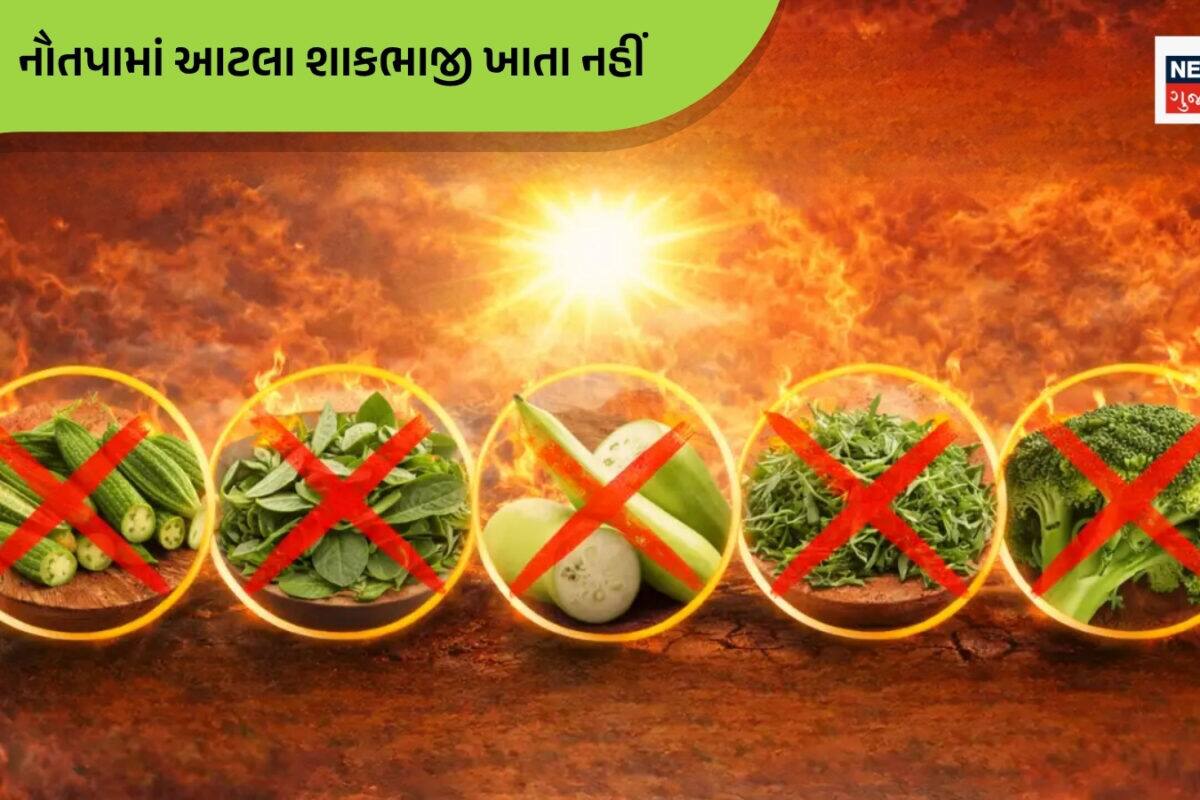 આજથી નૌતપાની શરુઆત: આ વખતે 9 નહીં પણ 15 દિવસ સુધી આટલા શાકભાજી ખાતા નહીં, સૂર્યનો પ્રકોપ મુશ્કેલી વધારશે