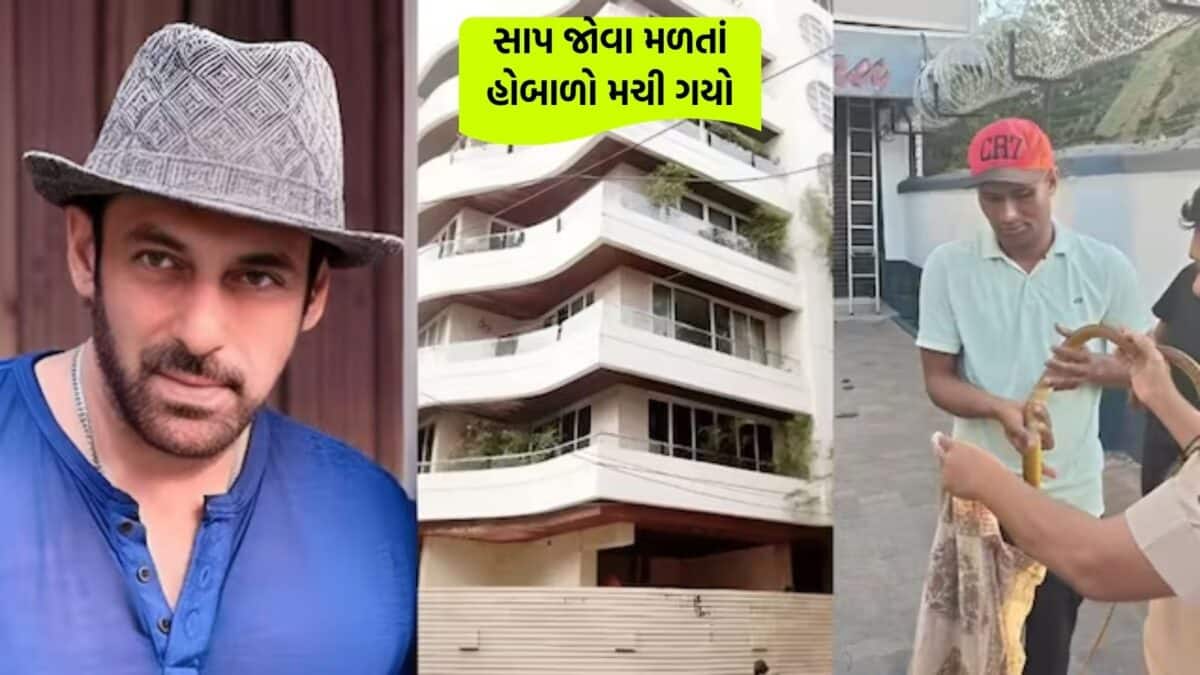 બાપ રે! સલમાનનાં ગેલેક્સી એપાર્ટમેન્ટમાં 5 ફૂટ લાંબો સાપ નીકળ્યો ...