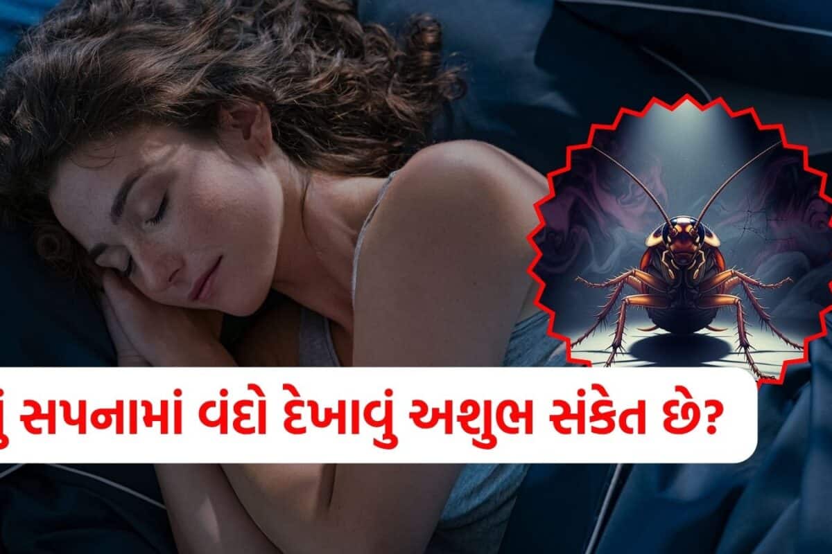 Cockroach In Dream: સપનામાં વંદો દેખાવાનો શું અર્થ થાય છે? શુભ કે અશુભ, જાણો શું કહે છે સ્વપ્ન શાસ્ત્ર