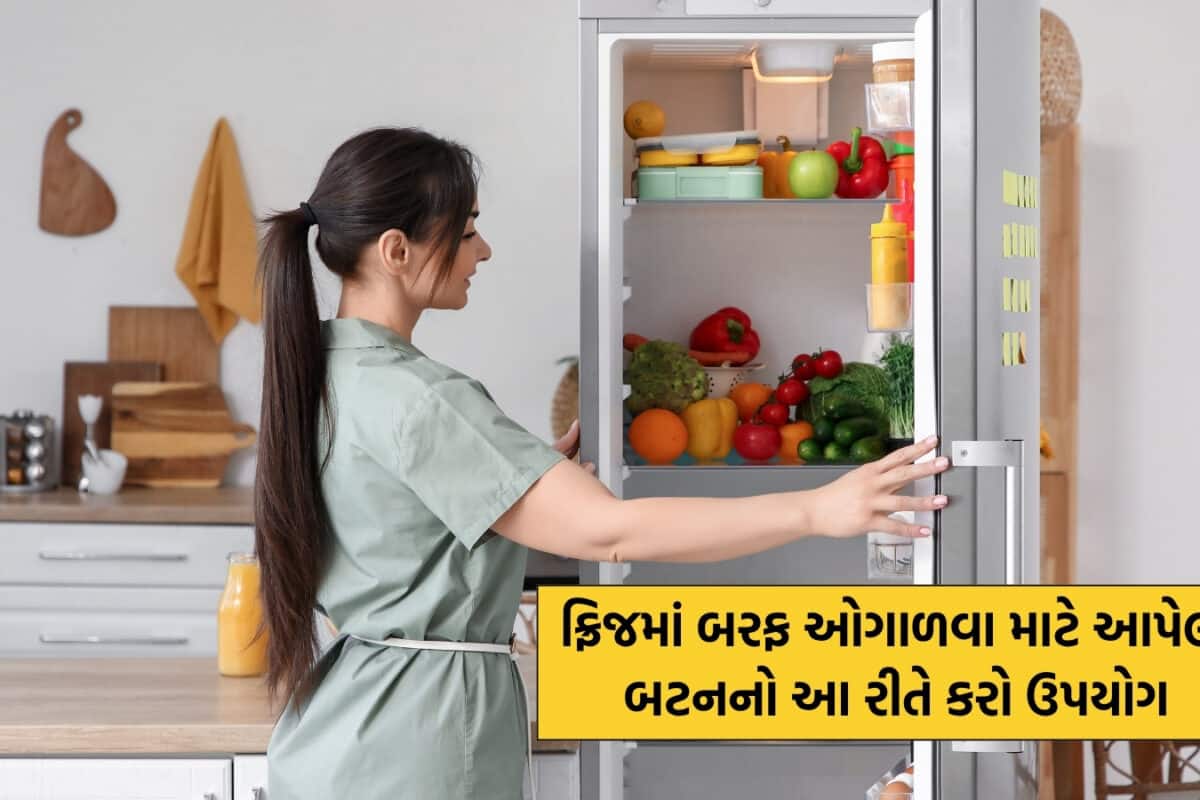 Fridge: ફ્રિજમાં રહેલું આ નાનકડું બટન દબાવતા જ ઓગળી જશે બધો બરફ, લાઈટ બિલમાં પણ થશે મોટો ઘટાડો!