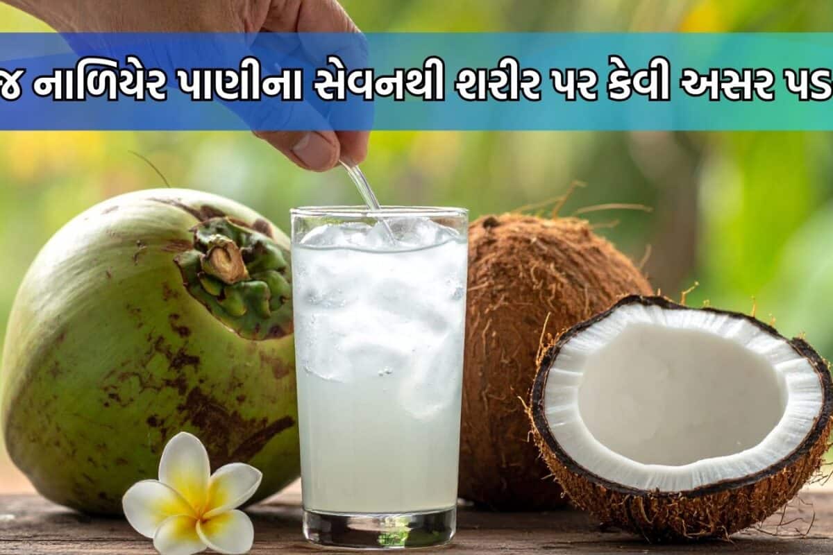 Coconut Water: દરરોજ નાળિયેર પાણી પીવાથી ફાયદા થશે કે નુકસાન? જાણો 30 દિવસ સુધી સતત સેવનથી શરીર પર શું અસર થશે