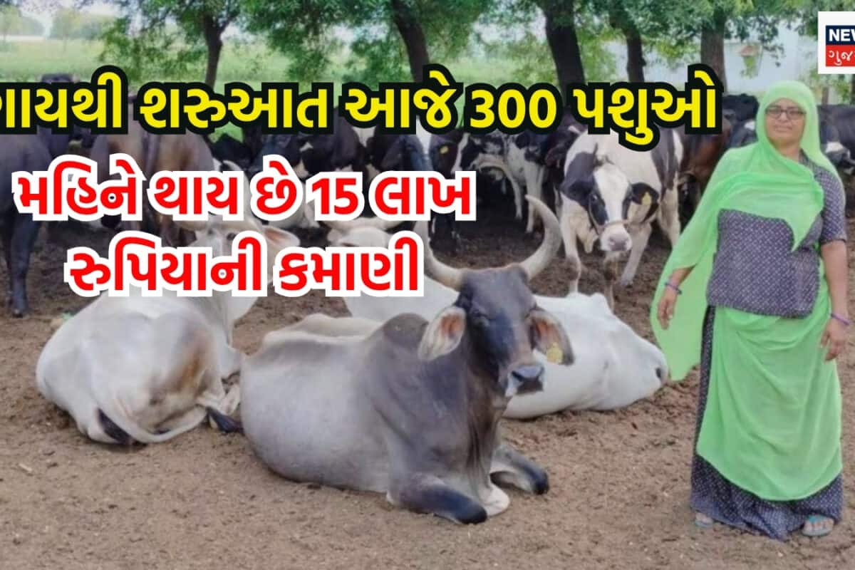 1 ગાયથી શરુઆત કરી હતી બનાસકાંઠાના દરિયાબેને, આજે દર મહિને કમાય છે 15 લાખ રુપિયા!