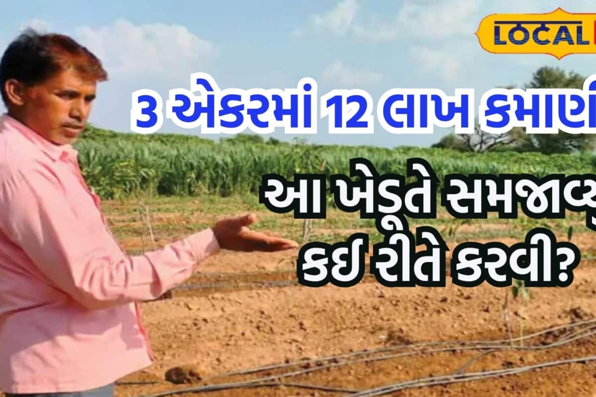 3 એકર જમીનમાં વર્ષે 12 લાખ કમાણી! આ ખેડૂત ભાઈ કરી શકે તો તમે પણ કરી જ શકો