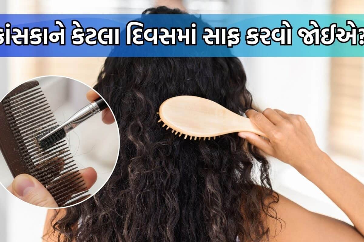 Comb Cleaning: ગંદો કાંસકો વાળમાં જવાથી વધી શકે છે સમસ્યા, જાણો કેટલા દિવસમાં ધોવું જોઈએ હેરબ્રશ; જાણો રીત