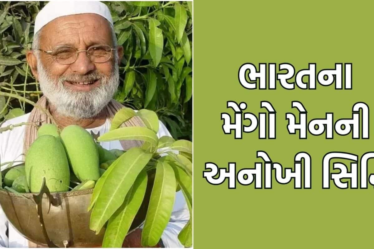 2, 5 કે 7 નહીં, એક જ આંબા પર 300 જાતની કેરી! કોણ છે ભારતના 'મેંગો મેન' જેણે કરી બતાવ્યો આ ચમત્કાર?