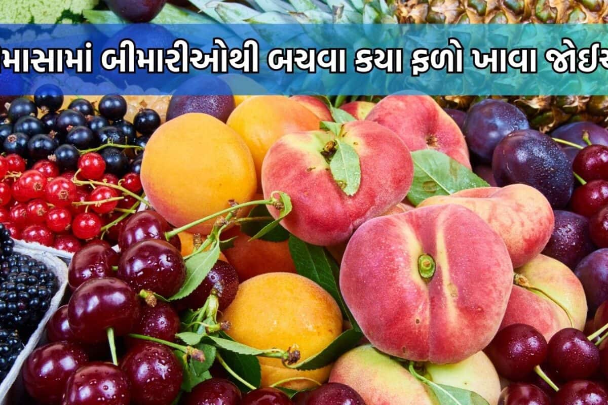 Monsoon Superfoods: ચોમાસામાં અમૃત સમાન છે આ 6 મોસમી ફળો, બીમારીઓને રાખશે દૂર; ચહેરો પણ કરશે ગ્લો