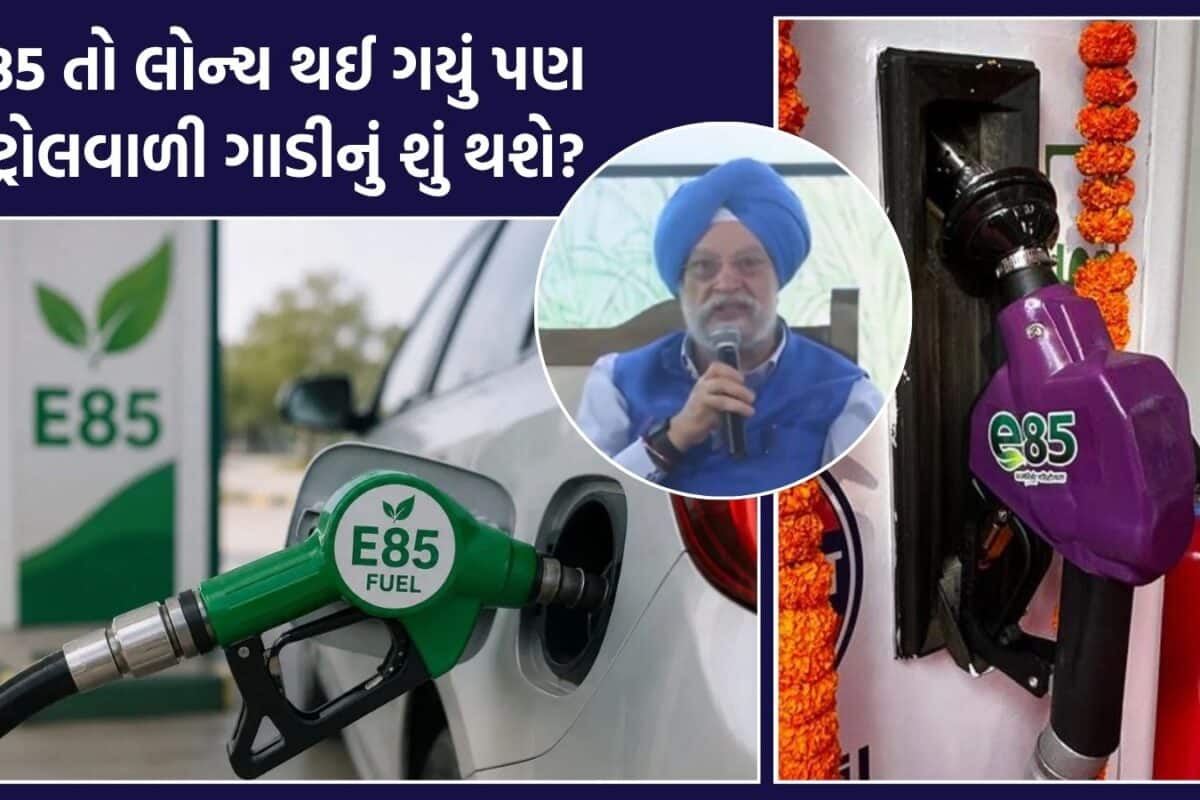 VIDEO: E85 આવી ગયું, તો શું હવે પેટ્રોલવાળી જૂની કાર અને બાઈક બંધ થઈ જશે? જાણો પેટ્રોલિયમ મંત્રીએ શું જવાબ આપ્યો