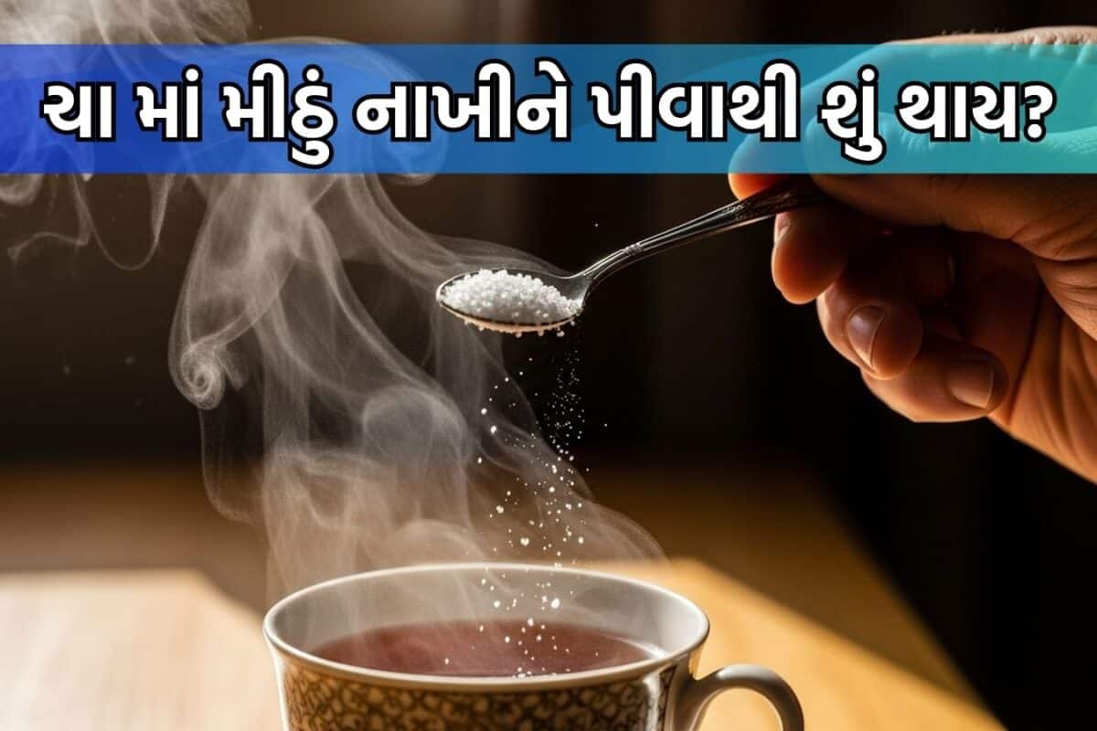 Tea with Salt: મીઠાવાળી ચા પીવાનો વધી રહ્યો છે ટ્રેન્ડ, પરંતુ સ્વાસ્થ્ય માટે તે કેટલી સારી? ડોકટરે જણાવી હકીકત