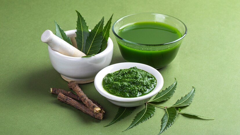 Monsoon Hair Care 5 Superfoods to Stop Hair Fall Naturally in Rainy Season