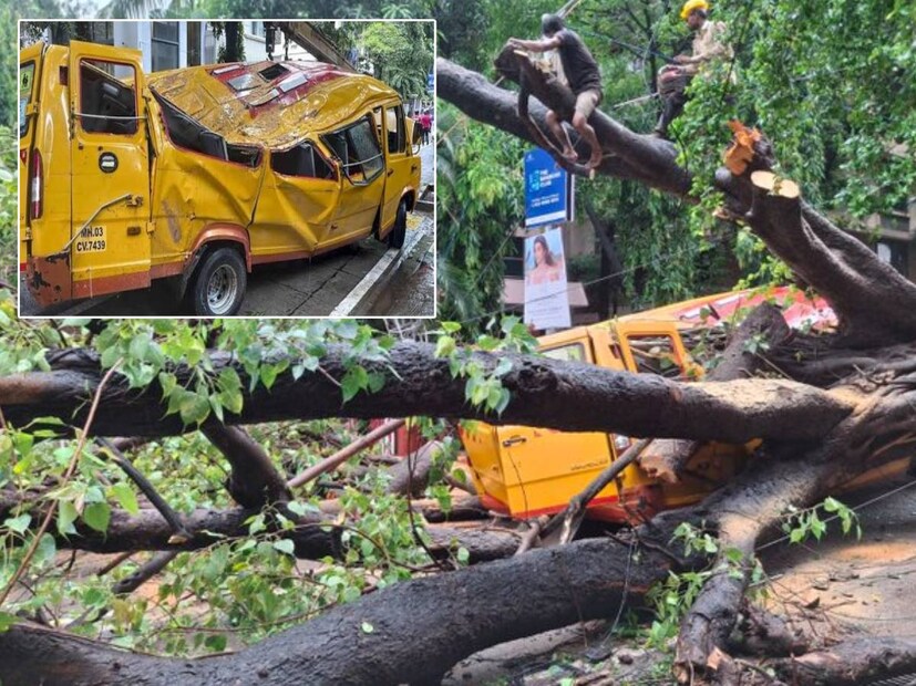 11 year old killed in Mumbai tree collapse cremated with his favourite cricket ball 