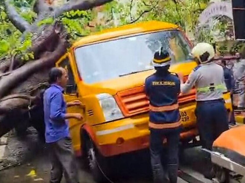 11 year old killed in Mumbai tree collapse cremated with his favourite cricket ball