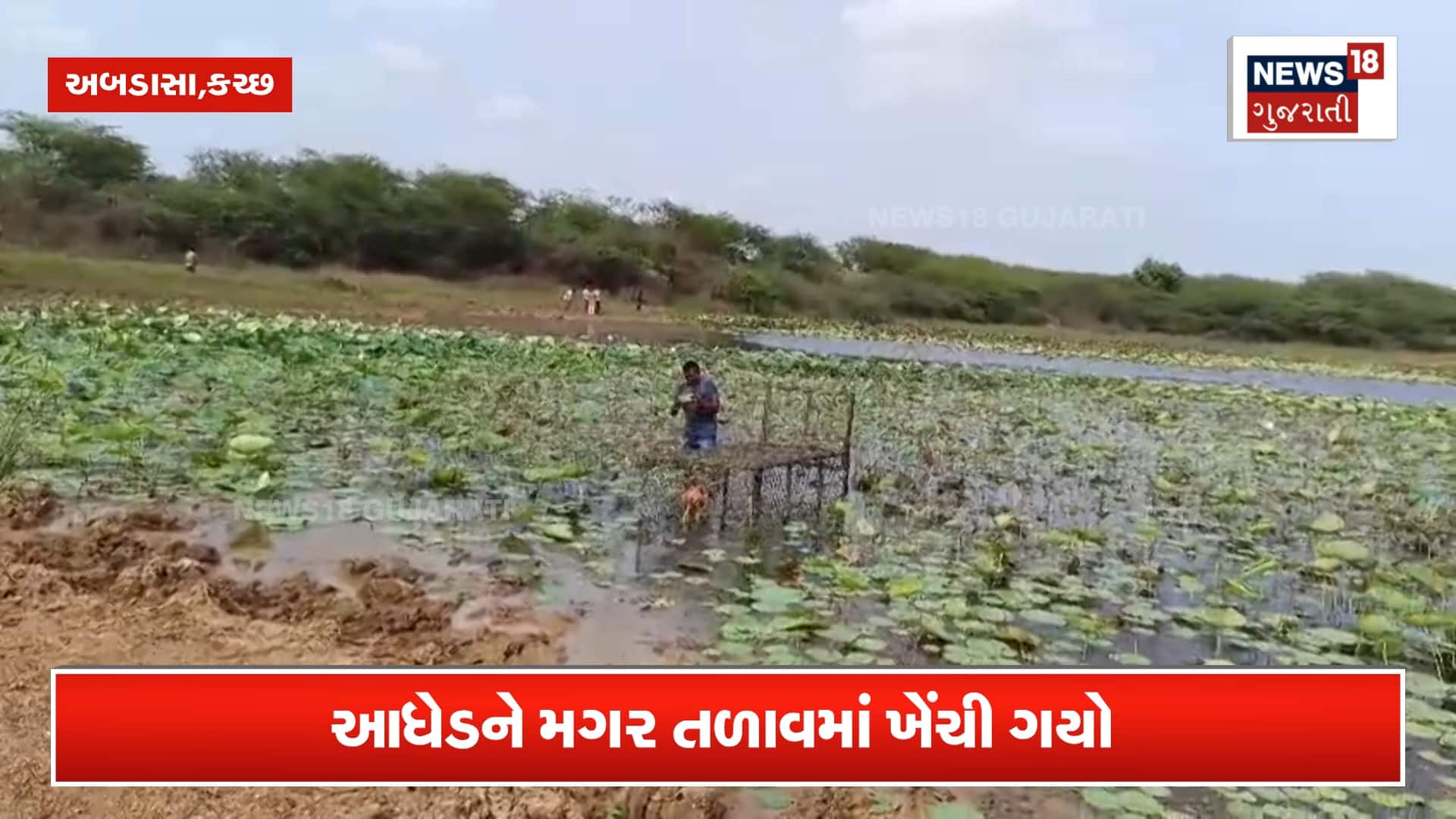 અબડાસામાં આધેડને તળાવમાં ખેંચી ગયો મગર, ગામલોકોમાં ભયનો માહોલ