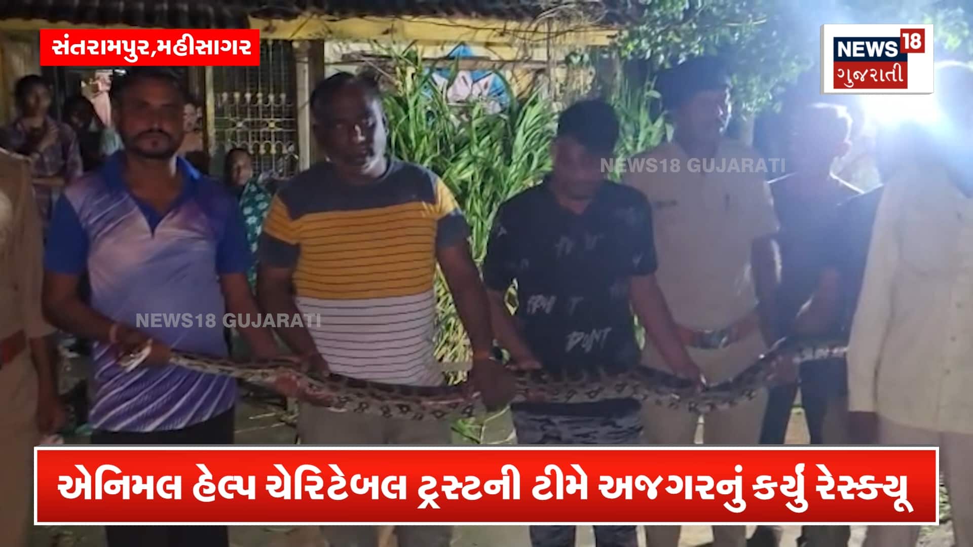 સંતરામપુરમાં ખેડૂતોના ઘર પાસેથી વિશાળ અજગરનું કરાયું રેસ્ક્યુ