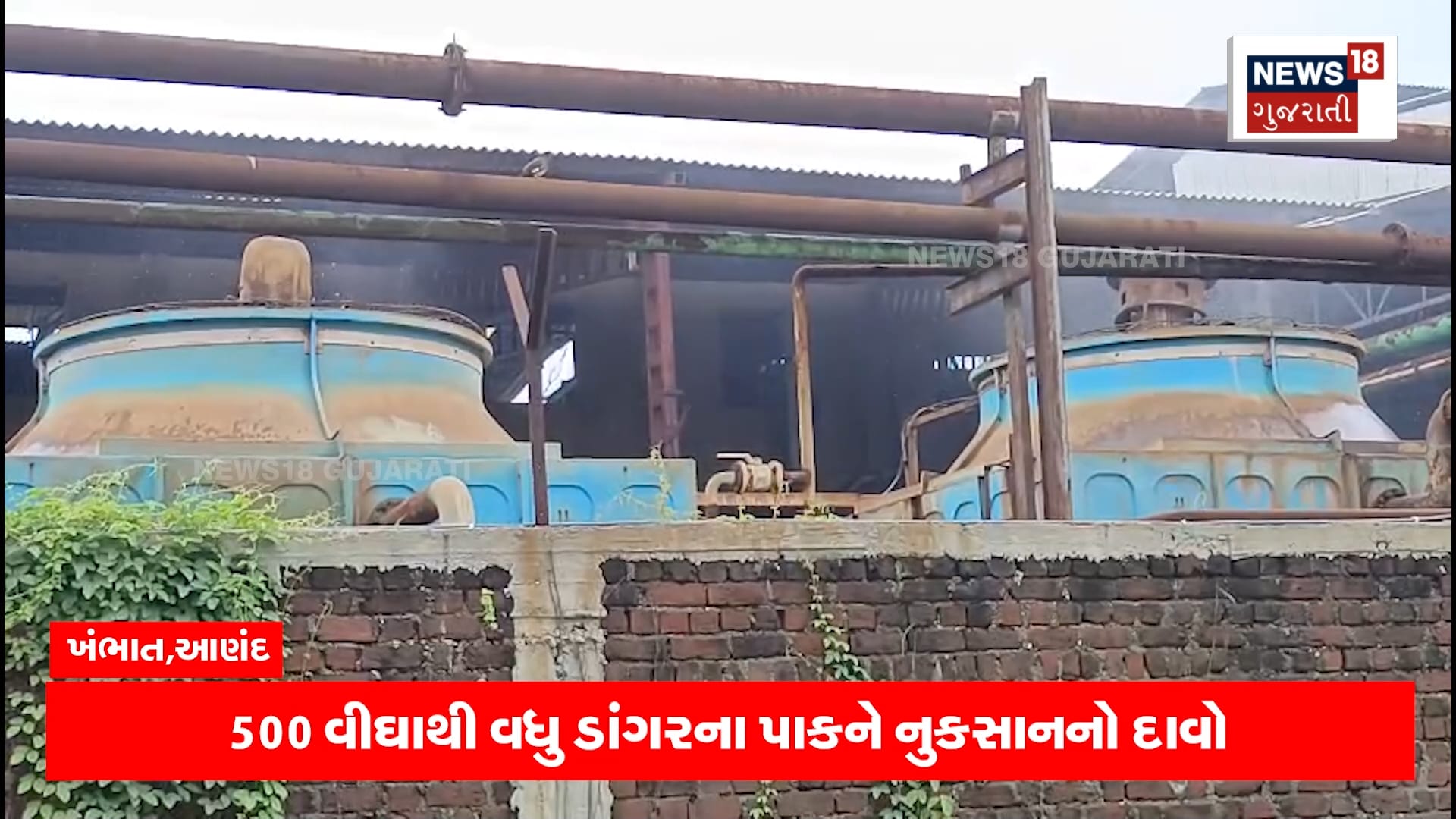 કંપનીમાંથી ઝેરી ગેસ ફેલાતા આકાશમાં ઊડતા પક્ષીઓ ટપોટપ નીચે પડ્યાં!
