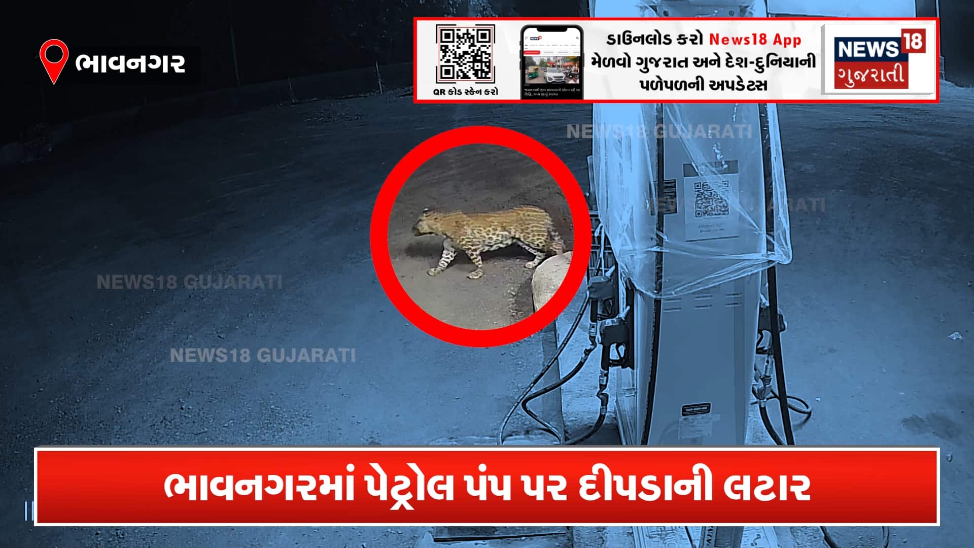 પેટ્રોલ પંપ પર દીપડાની લટાર!