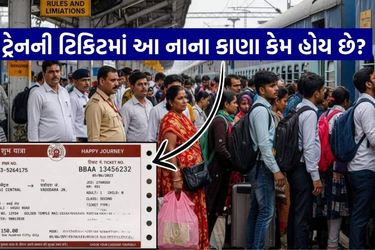 GK: ટ્રેનની ટિકિટમાં બંને બાજુ નાના-નાના કાણા કેમ હોય છે? ટ્રેનમાં મુસાફરી કરતા 90% લોકોને નહીં ખબર હોય કારણ