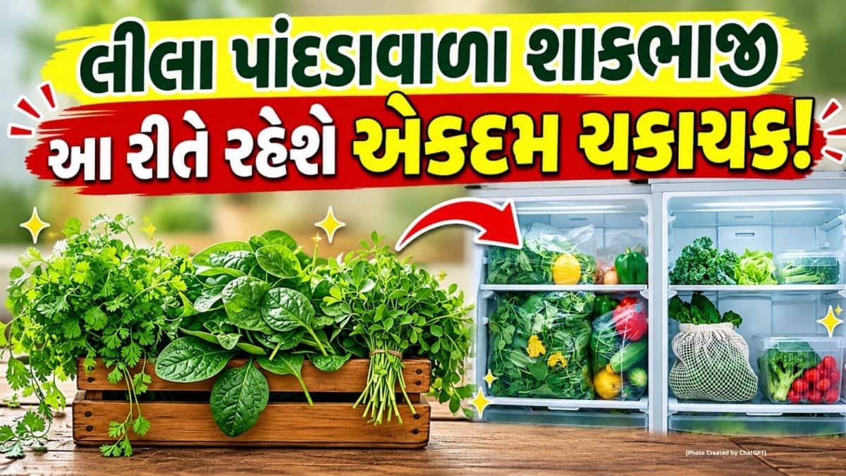 લીલા શાકભાજી તાજા રાખવાની સરળ ટિપ