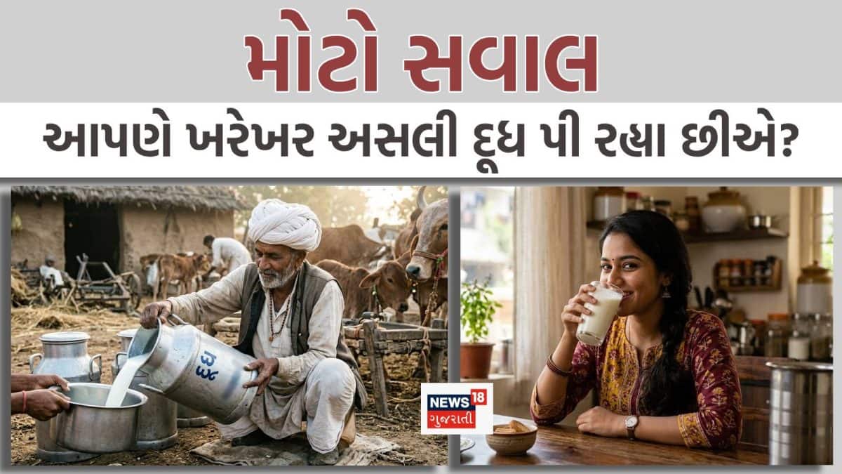 જૂનાગઢમાં નકલી દૂધ બનાવતું રેકેટ ઝડપાયું
