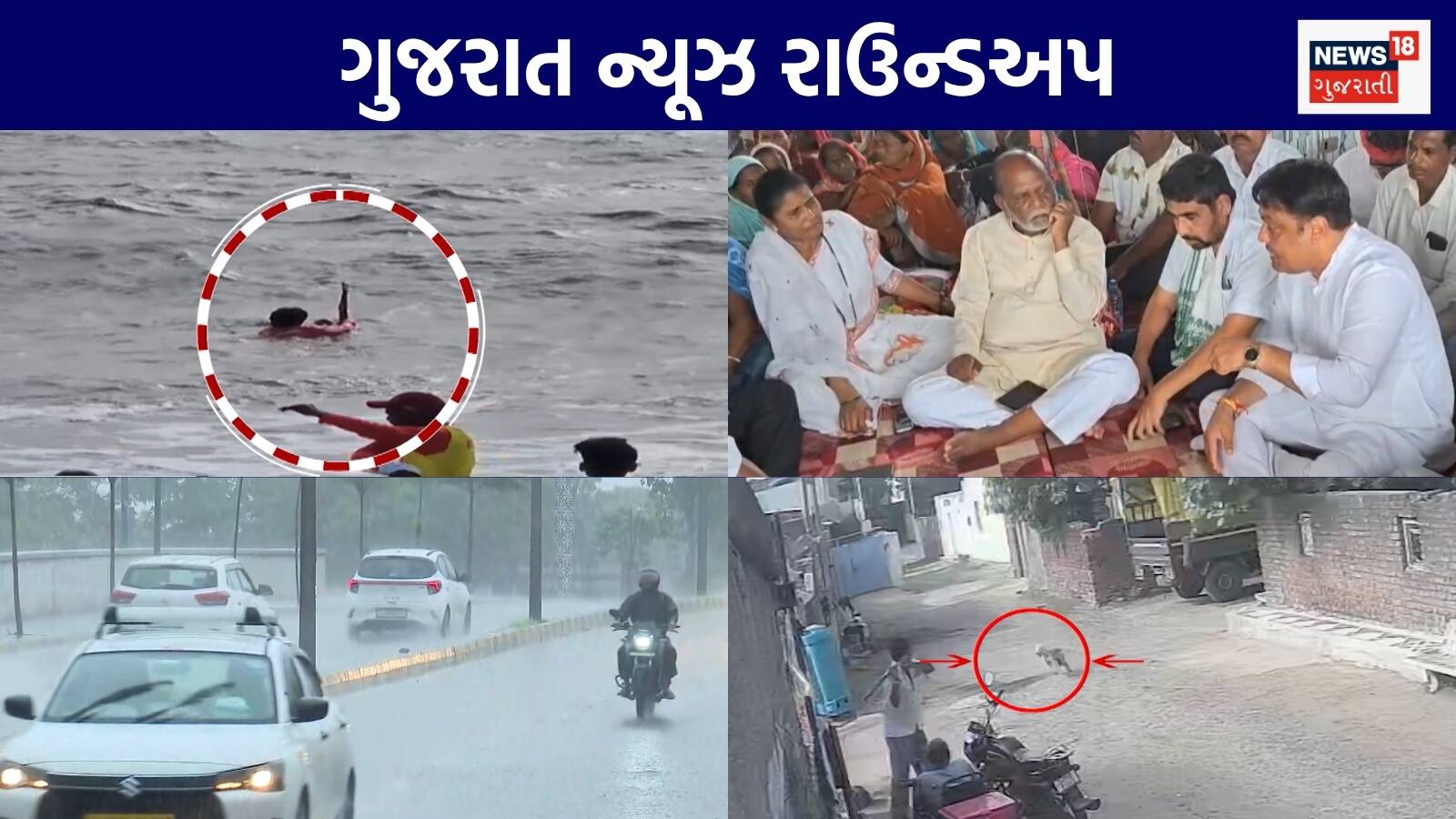 Gujarat News Live: હડકાયા શ્વાને 8 લોકો પર કર્યો હુમલો | વડોદરામાં યુવકની વિચિત્ર હરકત | રાજ્યમાં હળવાથી મધ્યમ વરસાદની આગાહી | ગુજરાતના અન્ય સમાચાર