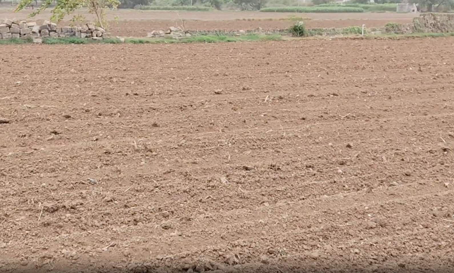 Porbandar Rain - પોરબંદરમાં પાંચ ઇંચથી ઓછો વરસાદ, વાવણી અટકતાં ખેડૂતો ચિંતામાં; ખેતરો હજુ પણ કોરા | - News18 Gujarati