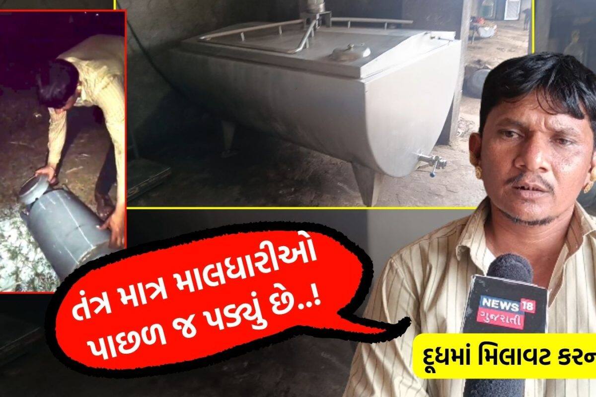 હું દરરોજ 800 લિટર 'બનાવટી દૂધ' રાજકોટ મોકલતો! ઉપલેટાના ભેળસેળીયા માલધારીની ઓન કેમેરા બેબાક કબૂલાત