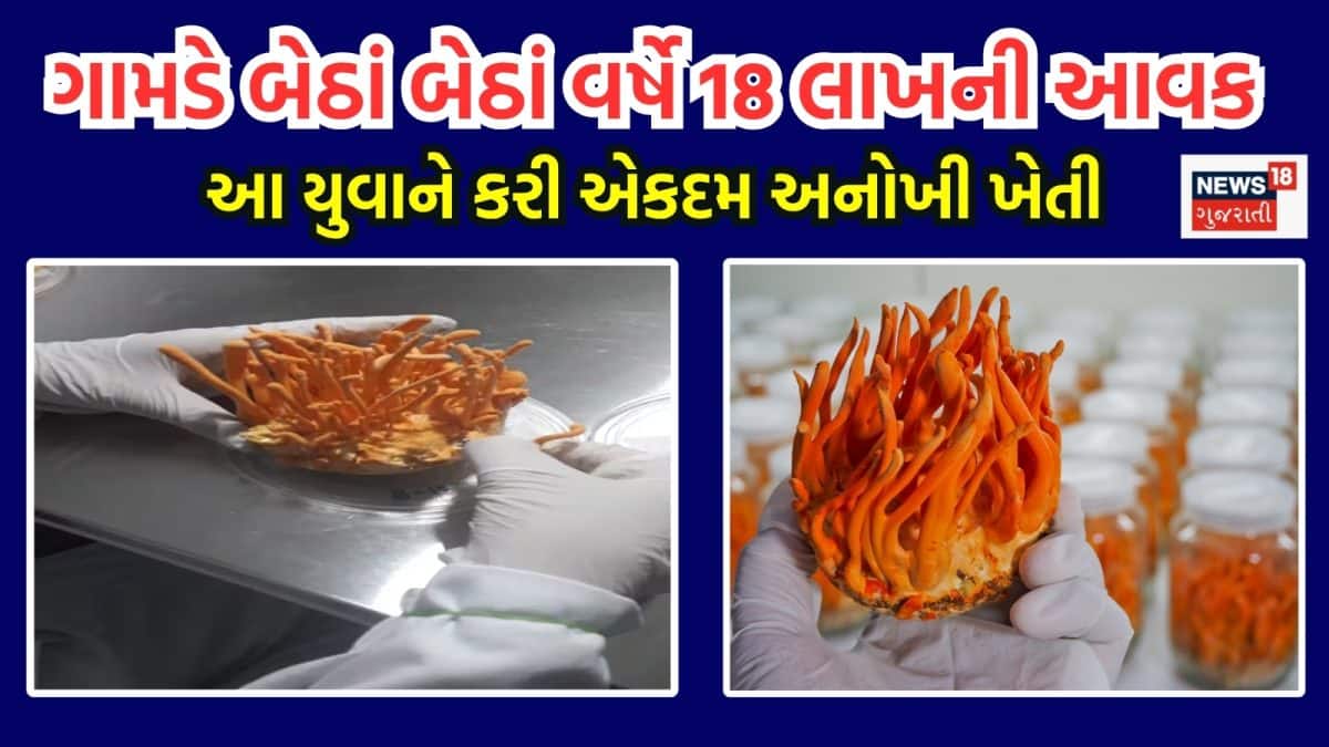 બી.ટેક યુવાને ગામમાં કોર્ડિસેપ્સ મશરૂમ ઉગાડીને કમાયા 18 લાખ