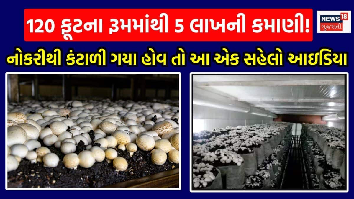 બટન મશરૂમ ખેતીથી 5 લાખ રૂપિયાની કમાણી