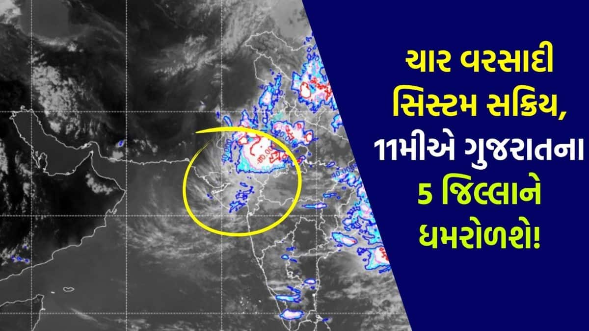 ચાર વરસાદી સિસ્ટમ સક્રિય, 5 જિલ્લામાં ભારે વરસાદની આગાહી