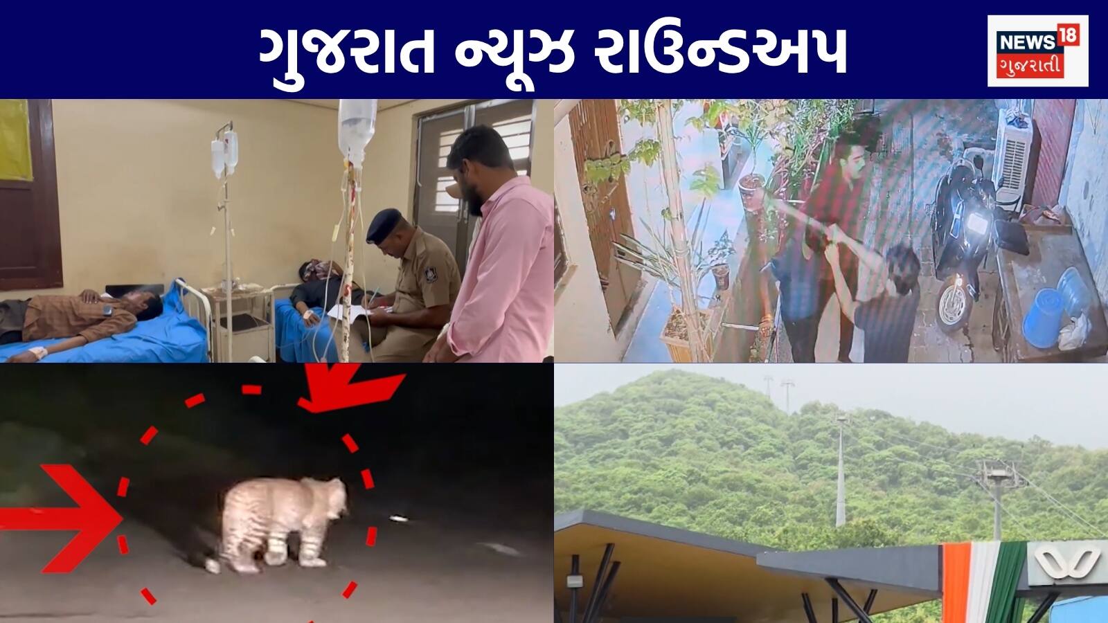 Gujarat News Live: ભાવનગરમાં ઝેરી દારુકાંડથી હાહાકાર | સતત છઠ્ઠા દિવસે ગિરનાર રોપ-વે બંધ | દીપડો પકડવા થર્મલ ડ્રોનનો ઉપયોગ | ગુજરાતના અન્ય સમાચાર