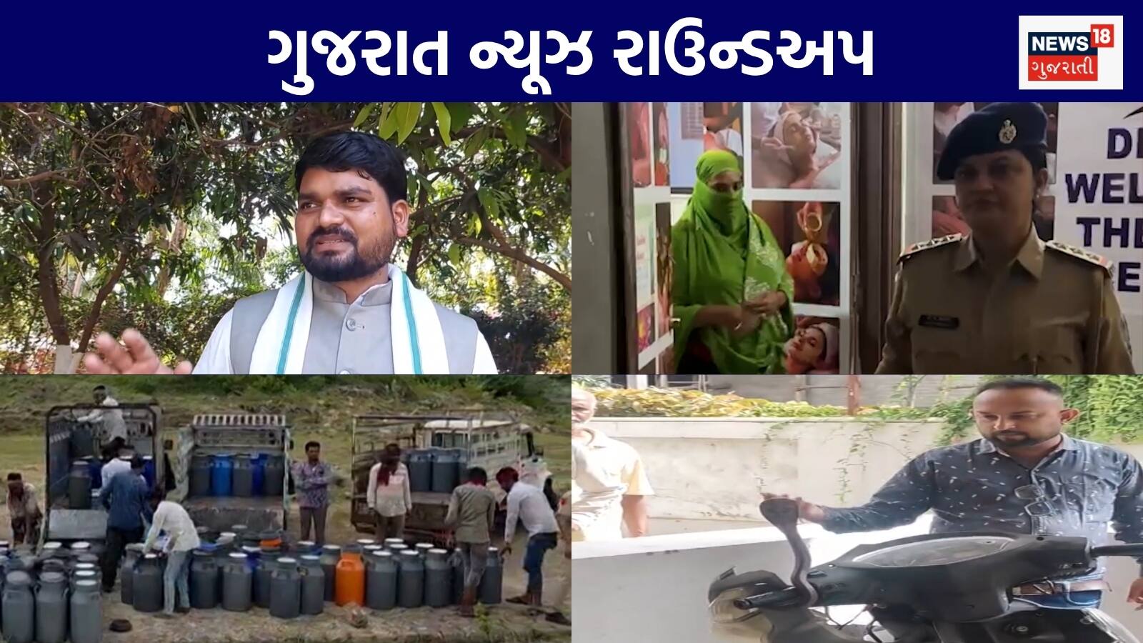Gujarat News Live: ચૈતર વસાવાના જામીન નામંજૂર | સુરતમાં દેહવેપારના રેકેટનો પર્દાફાશ | જામનગરમાં મોટાપાયે નકલી દૂધ ઝડપાયું | ગુજરાતના અન્ય સમાચાર