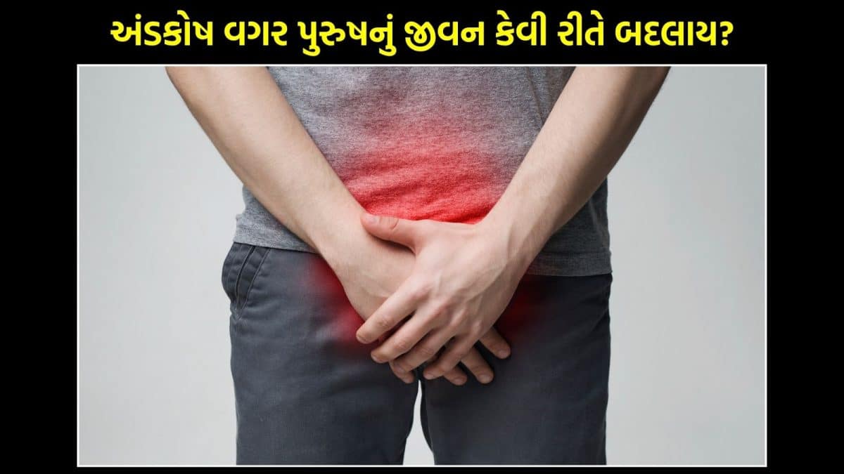 અંડકોષ વગર જીવી શકાય? ભોપાલમાં ₹2 કરોડની તસ્કરીનો મામલો