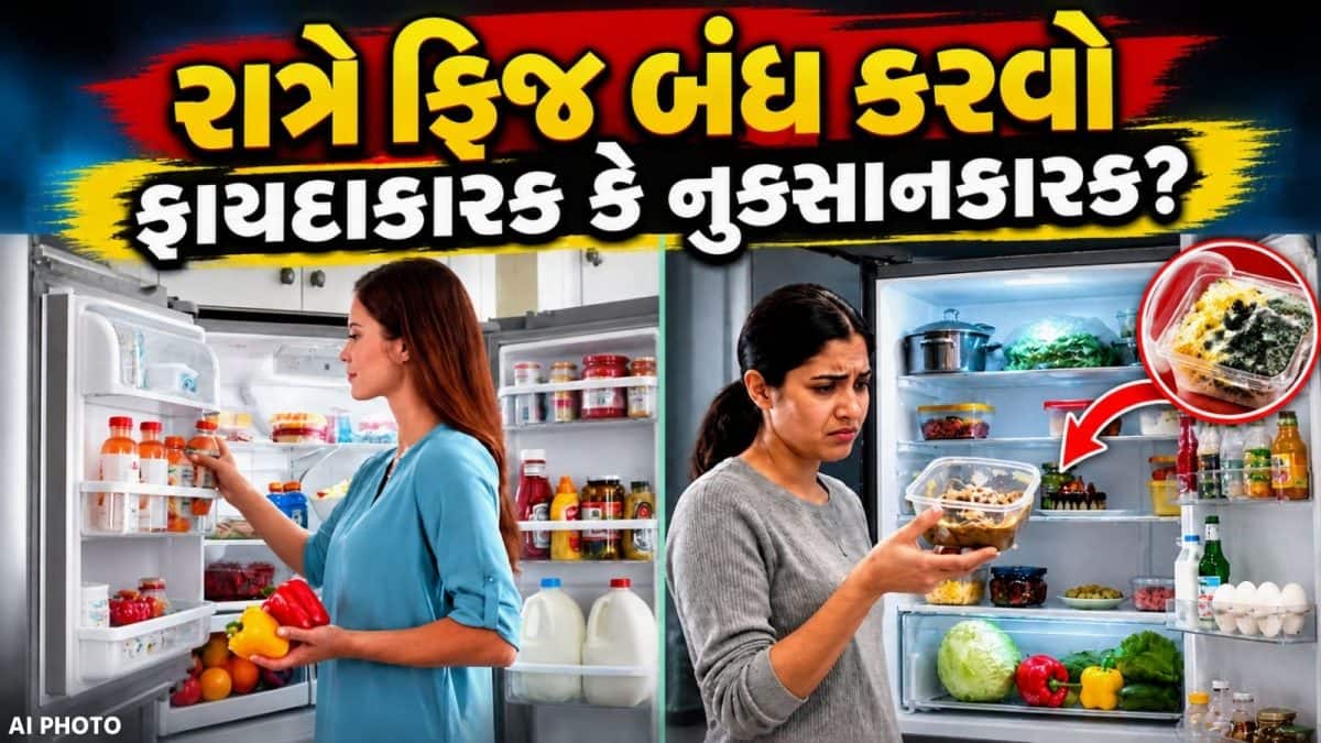 ફ્રિજ ક્યારે બંધ કરવો? જાણો સાચી માહિતી