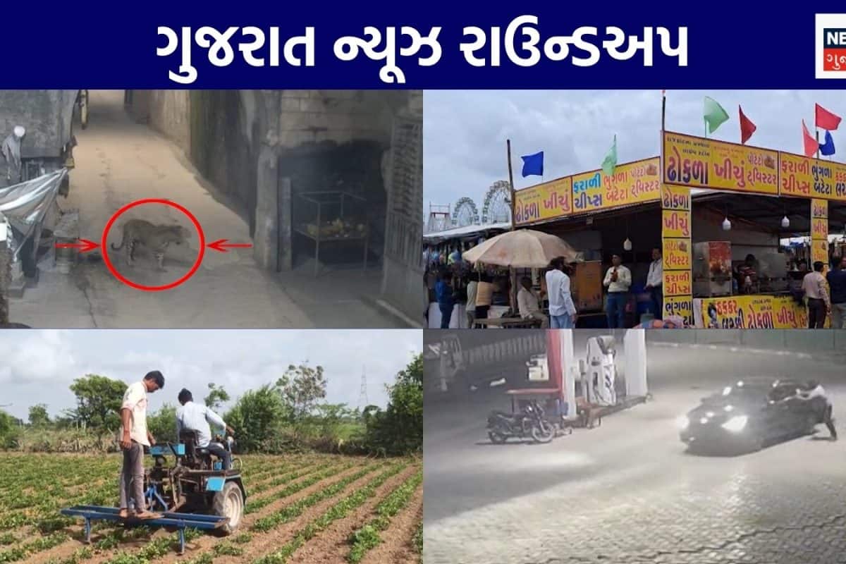 Gujarat News Live: પોલીસની હાજરીમાં છરીથી હુમલો | લોકમેળામાં આરોગ્ય વિભાગનો સપાટો | અન્ય સમાચાર