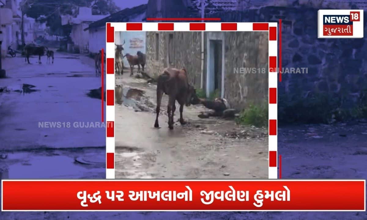 ભાવનગરના ગારિયાધારમાં આખલાનો આતંક, વૃદ્ધને ઢીક મારીને પાડી દીધા