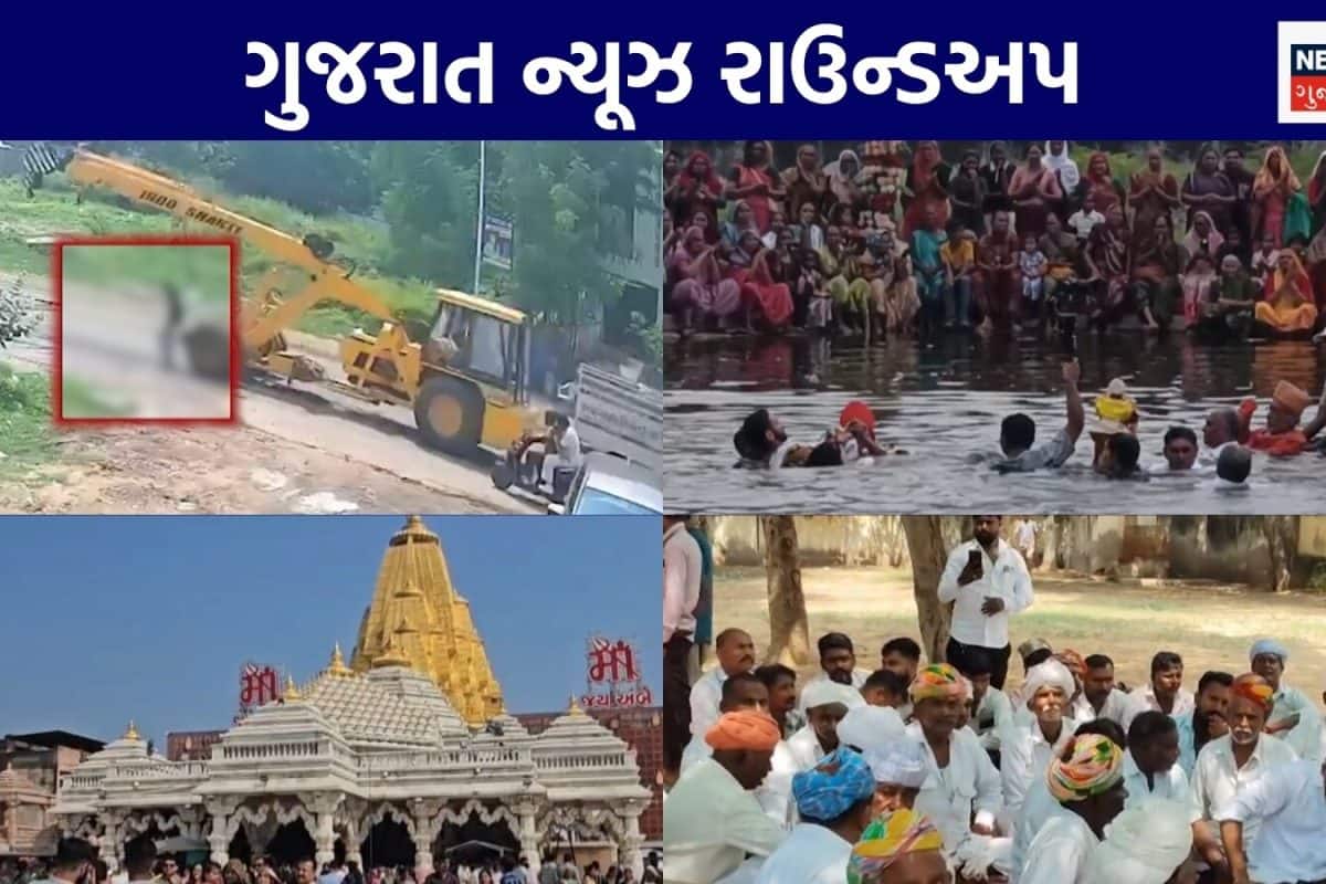 Gujarat News Live: ક્રેનની અડફેટે વિદ્યાર્થિનીનું મોત | ઘેલા નદીમાં હોડી પલટી | ગુજરાતના અન્ય સમાચાર
